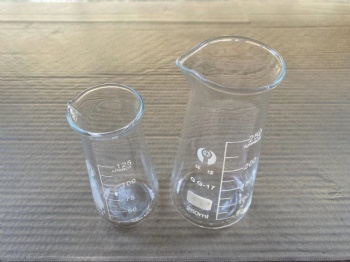 Glass Conical Beaker